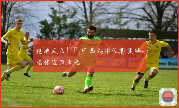 绝地反击!F1巴西站排位赛集锦,老将宝刀未老