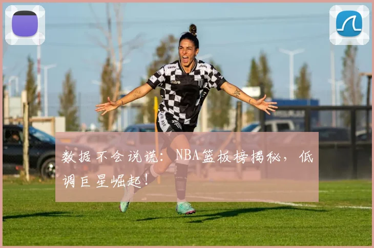 数据不会说谎：NBA篮板榜揭秘，低调巨星崛起！