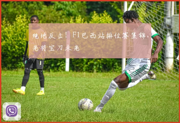 绝地反击！F1巴西站排位赛集锦，老将宝刀未老