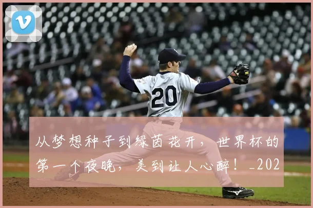 从梦想种子到绿茵花开，世界杯的第一个夜晚，美到让人心醉！_20260601173104